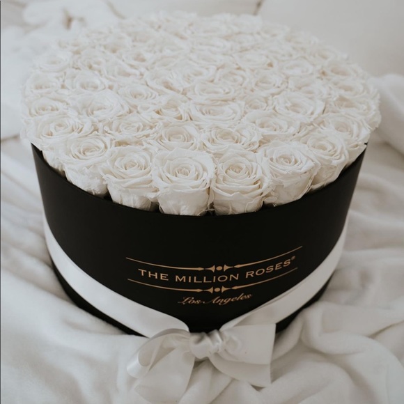 Other - Preserved White Roses in Black Hatbox